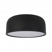 Потолочный светодиодный светильник Loft IT Axel 10201/350 Black