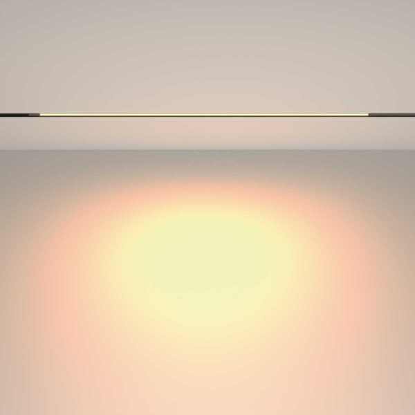 Трековый светильник Maytoni Technical EXILITY Basis TR231-2-15W3K-B