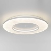 Потолочный светодиодный светильник Eurosvet Kreis 101003 LED белый a071495