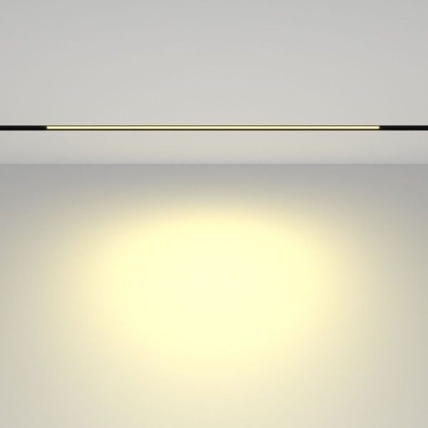 Трековый светодиодный светильник Maytoni Technical Basis TR030-2-24W2.7K-B