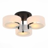 Потолочная люстра Evoluce Foresta SL483.402.03