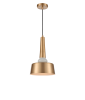 Подвесной светильник Vele Luce Appassionato VL2144P01