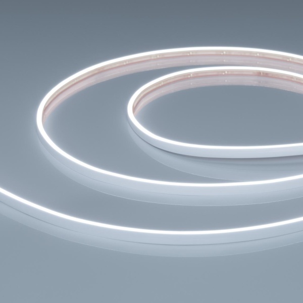 Светодиодная лента герметичная VELA-M240-2.5x6mm 24V White6000 (5 W/m, IP65, 5m) Arlight 053266