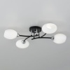 Потолочная люстра Citilux CL148145