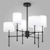 Подвесная люстра Eurosvet Notturno 60162/6 черный Smart
