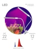 Настольная лампа ЭРА Crocus Fito-20W-Aled Б0039171 Настольная лампа ЭРА Crocus Fito-20W-Aled Б0039171