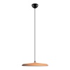 Подвесной светодиодный светильник Loft IT Plato 10119 Orange