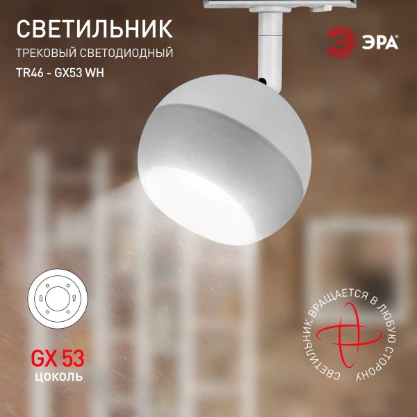 Трековый светильник однофазный ЭРА Round TR46-GX53 WH Б0054152