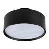 Светильник накладной Lightstar Acuto 215947