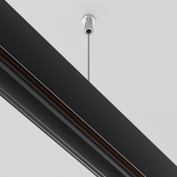 Подвес Maytoni Technical Exility Busbur TRA034SW-2B