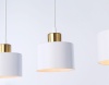 Подвесной светильник Ambrella light Traditional TR8117