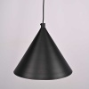 Подвесной светильник Imperium Loft Roundew D29 Black 302464-26