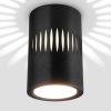 Потолочный светодиодный светильник Elektrostandard DLS026 7W 4200К черный a052837
