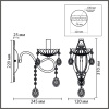 Бра Lumion CLASSI 8346/1W