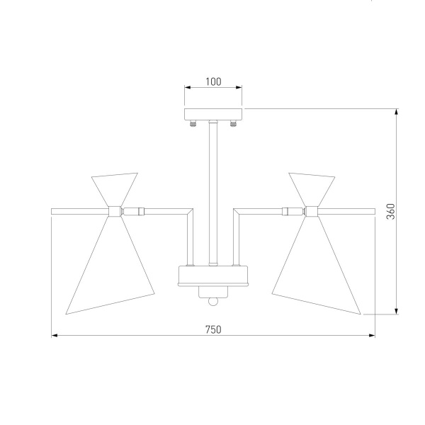 Потолочная люстра Eurosvet Apart 70114/5 белый