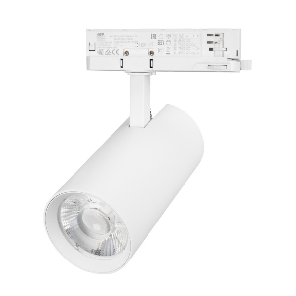 Светильник LGD-GERA-4TR-R90-30W Day4000 (WH, 36 deg, 230V) Arlight 055131