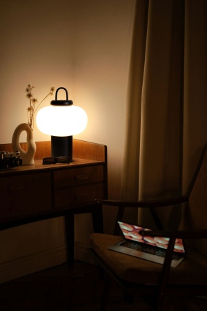 Настольная лампа Freya Take FR6175TL-L10B