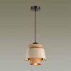 Подвесной светильник Odeon Light Kressa 4992/1