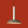 Подвесной светильник Freya Modern FR5551PL-01M1