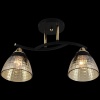 Потолочный светильник Reluce 11384-0.3-02B BK+FGD