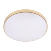Потолочный светодиодный светильник Loft IT Flims 10228/B