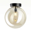 Светильник Citilux ORTON CL202512