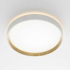 Потолочный светодиодный светильник Citilux Etalon CL750240
