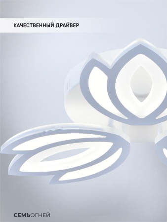 Потолочная светодиодная люстра Seven Fires Erdin SF5043/3C-WT