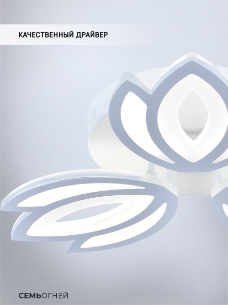 Потолочная светодиодная люстра Seven Fires Erdin SF5043/3C-WT