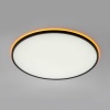 Потолочный светильник Citilux NORMA CL749601