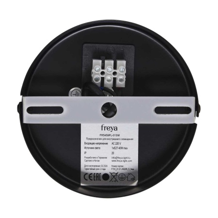 Подвесной светильник Freya Плюмо / Plumo FR5459PL-01SM